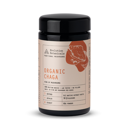 (Evolution Botanicals) Organic Chaga Mushroom Powder 100g