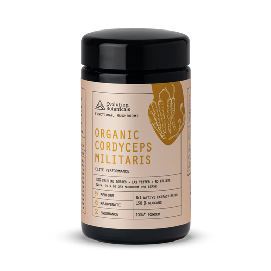 (Evolution Botanicals) Organic Cordyceps militaris Mushroom Powder 100g